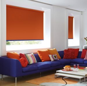 Vitra Action Bright Block Colour Roller Blinds